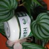 MIKA BIO HALEINE